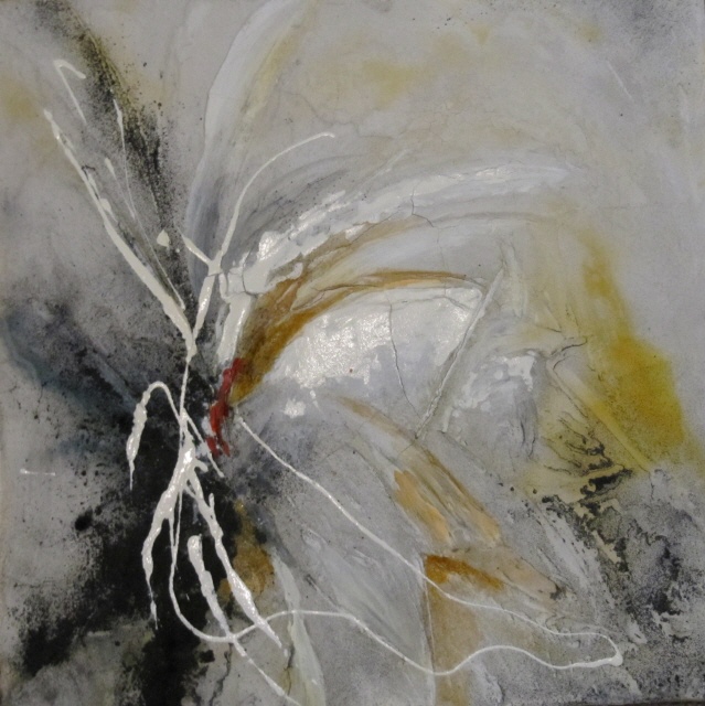 40x40