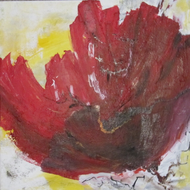 50x50