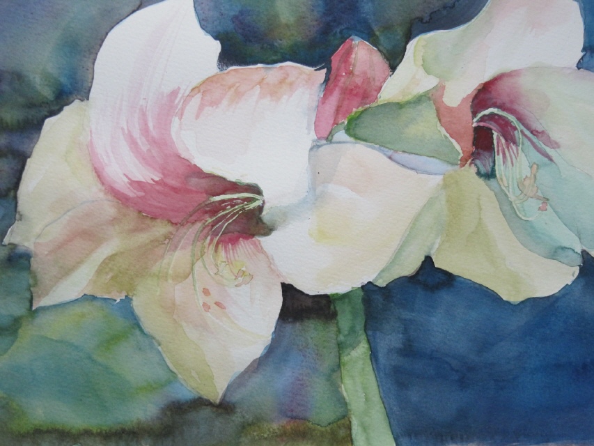 30x40