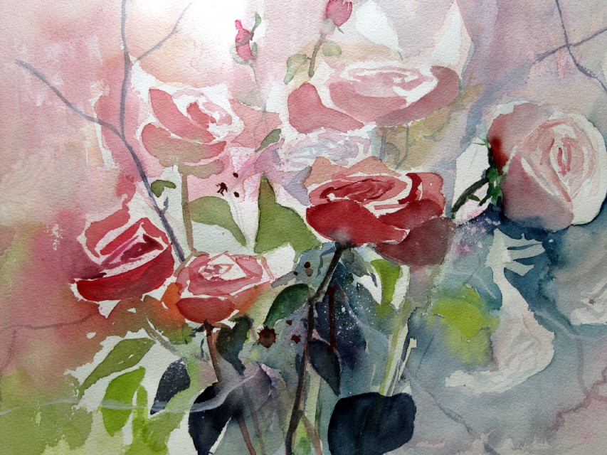 50x70