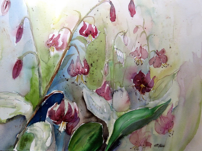 50x70