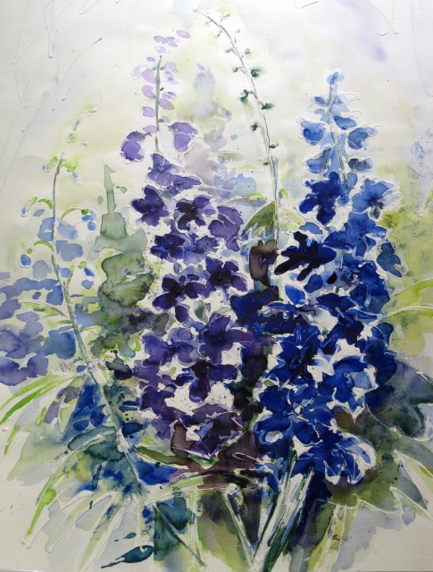 50x70