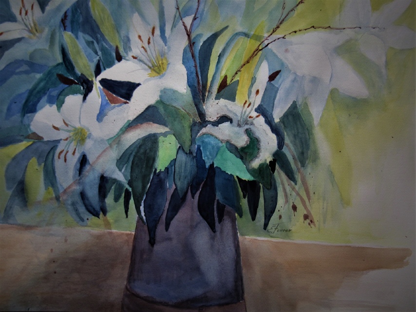 56x76