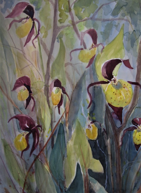 40x30