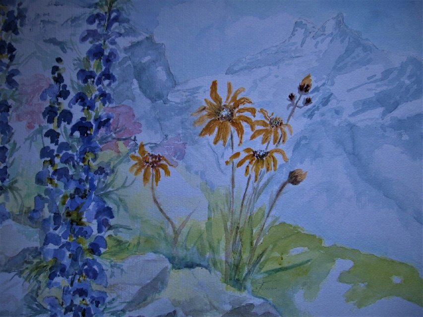 40x55